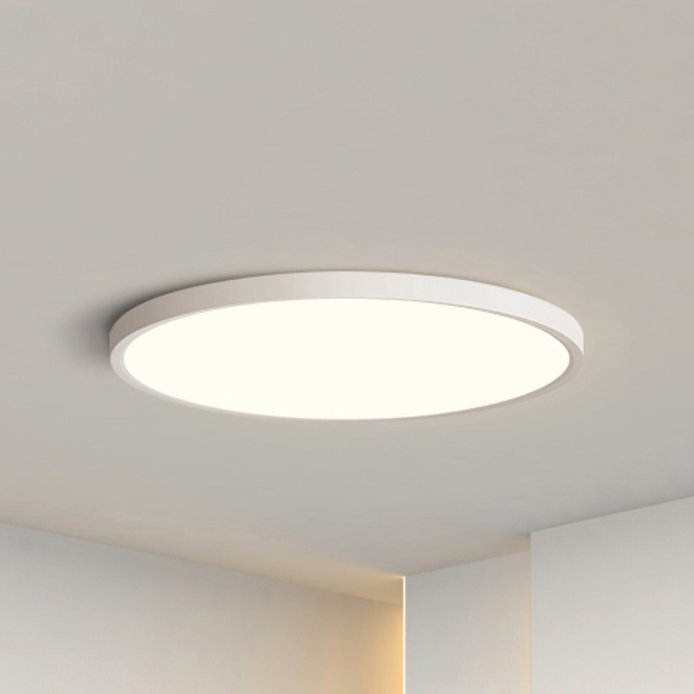 LED Ceiling Light C51