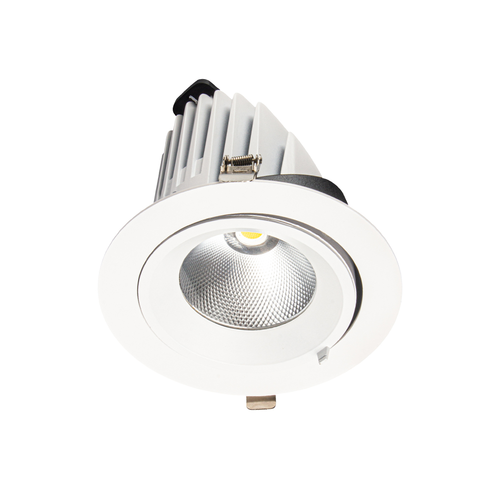 LED Down Light DS19