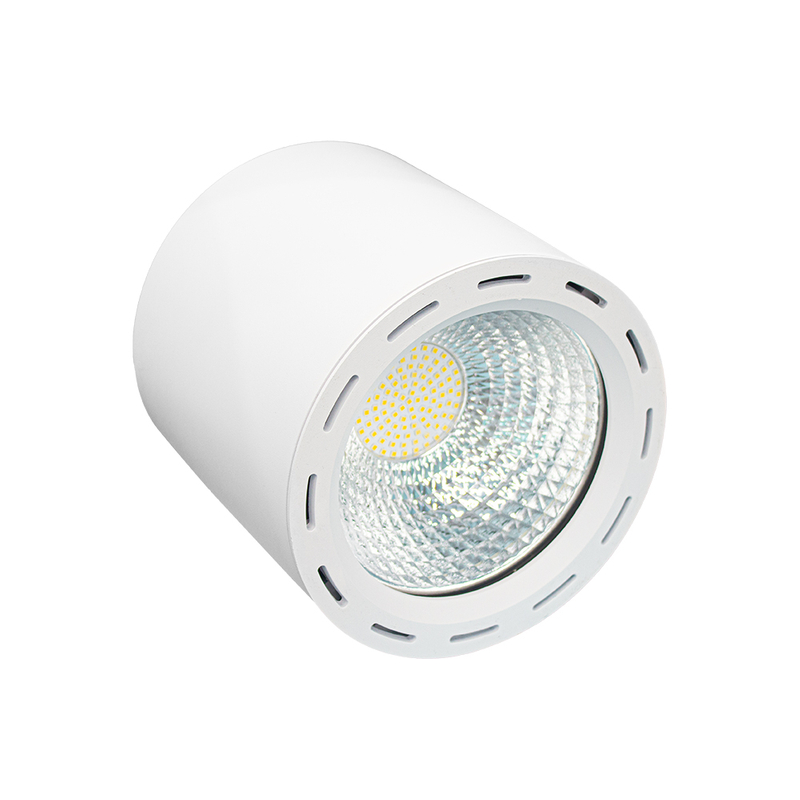 LED Down Light DS37