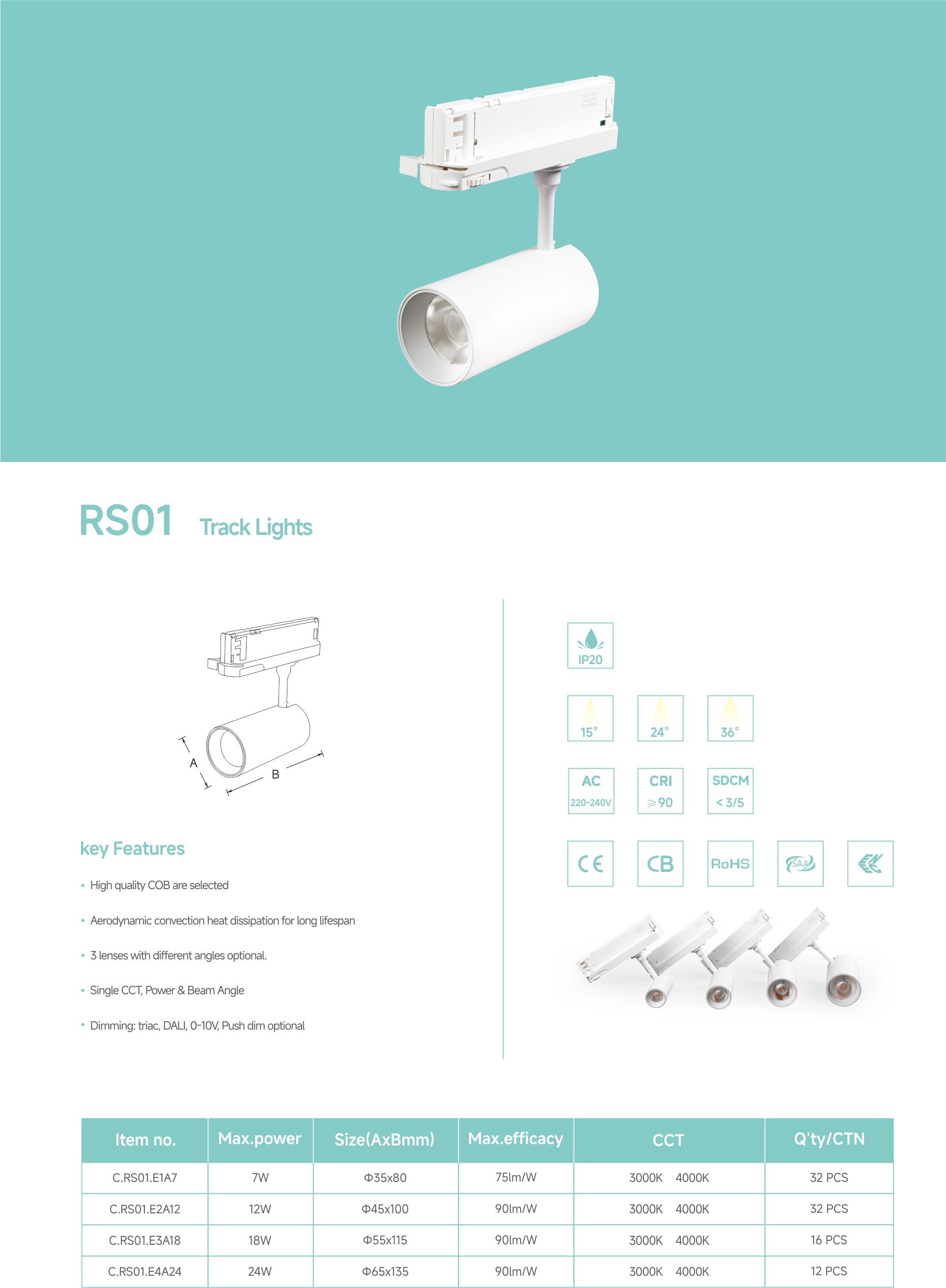 RS01