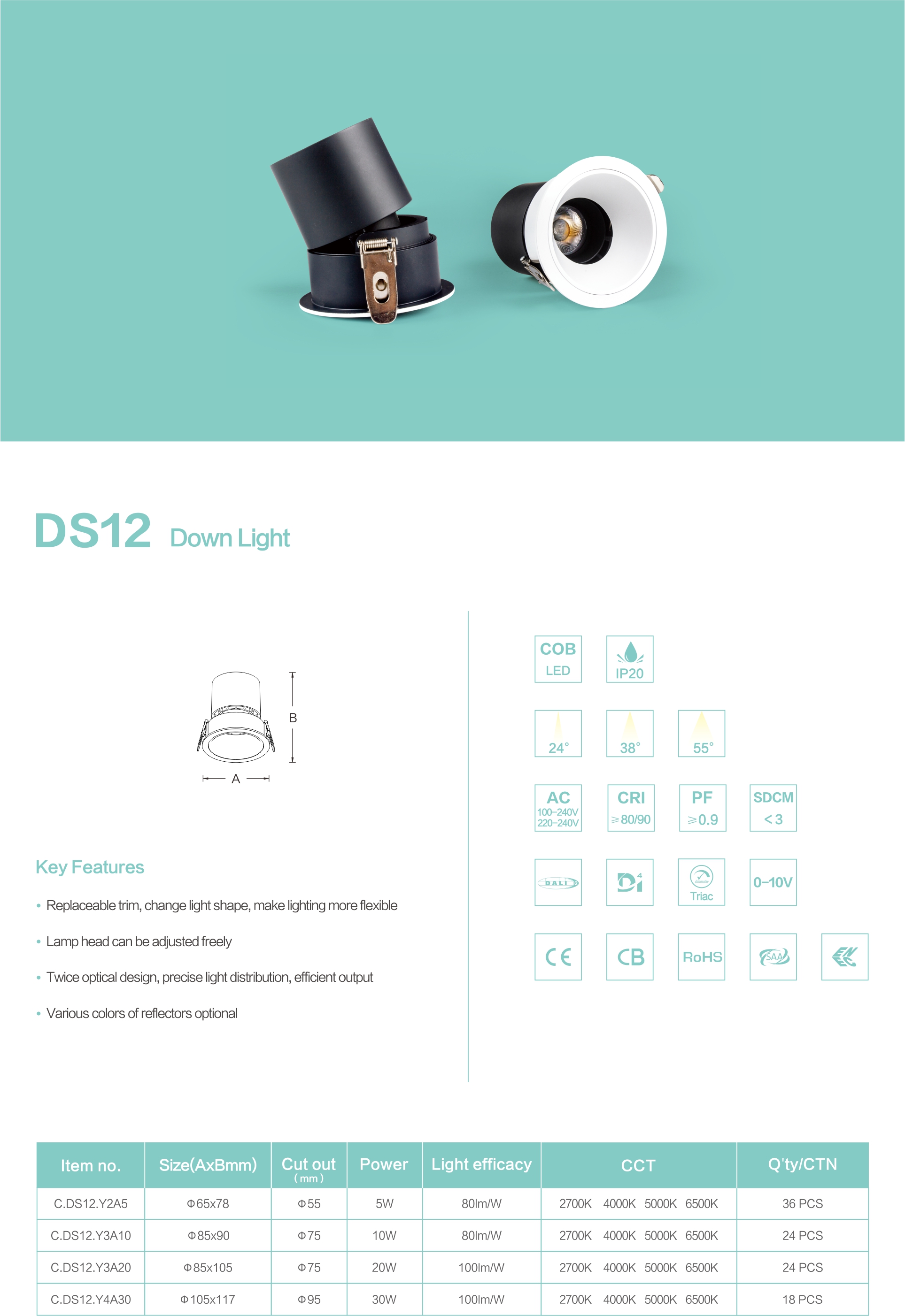 DS12产品详情