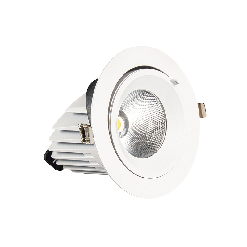 LED Down Light DS19