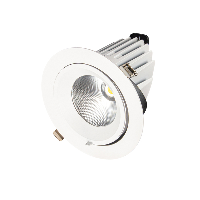 LED Down Light DS19