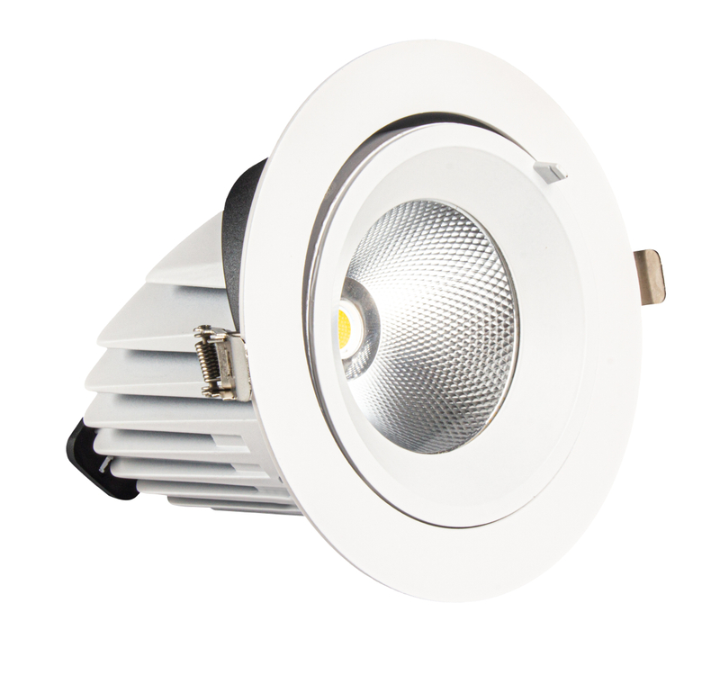 LED Down Light DS19