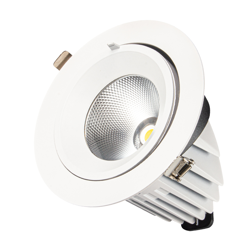 LED Down Light DS19