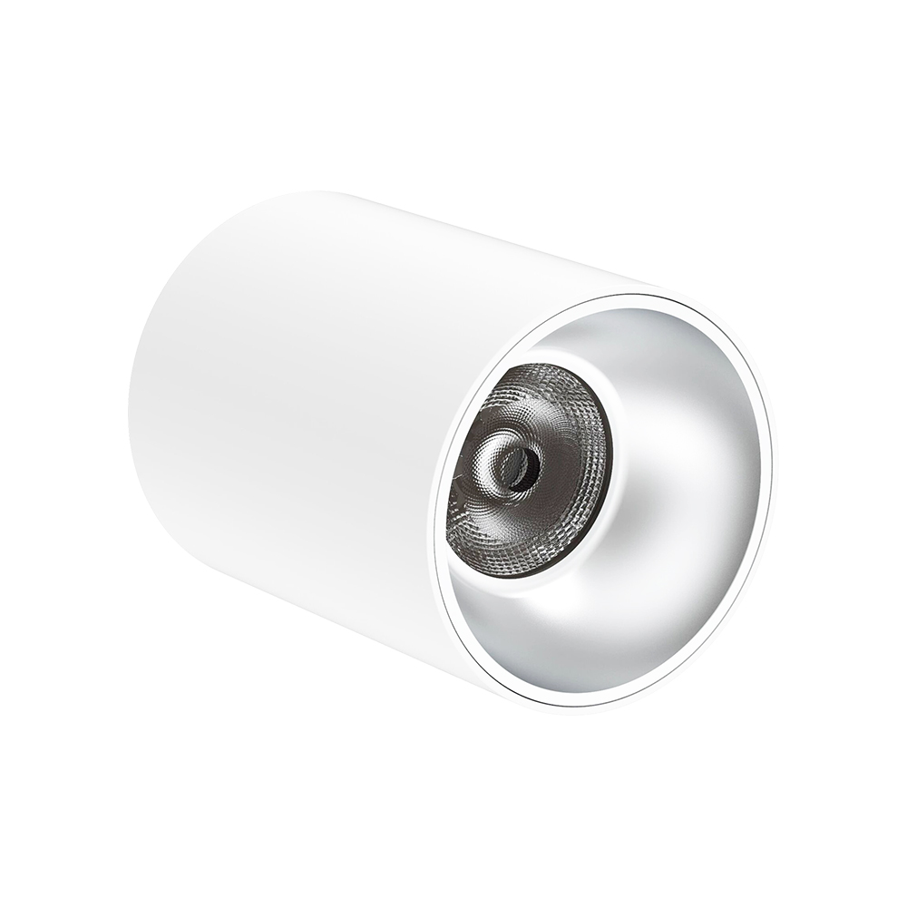 LED Down Light DS29