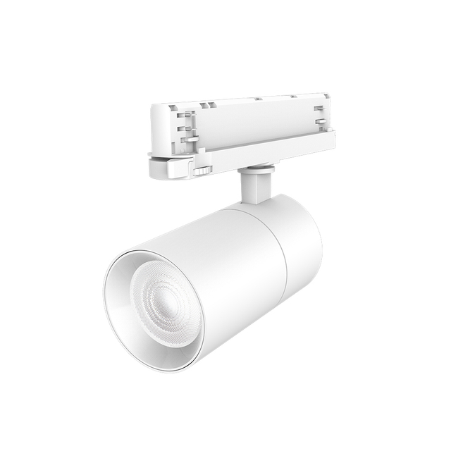 LED Track Light RS08