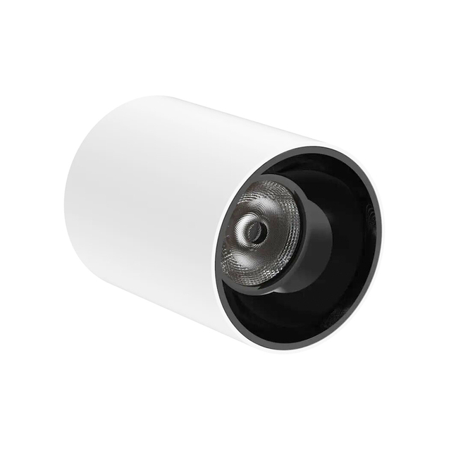 LED Down Light DS29