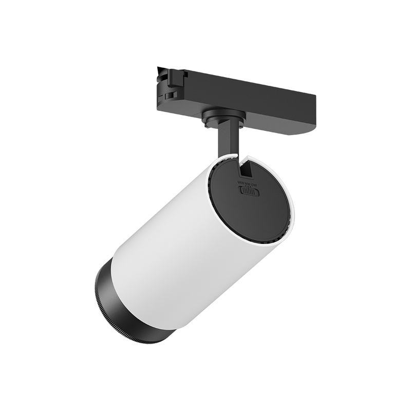 LED Track Light RS10