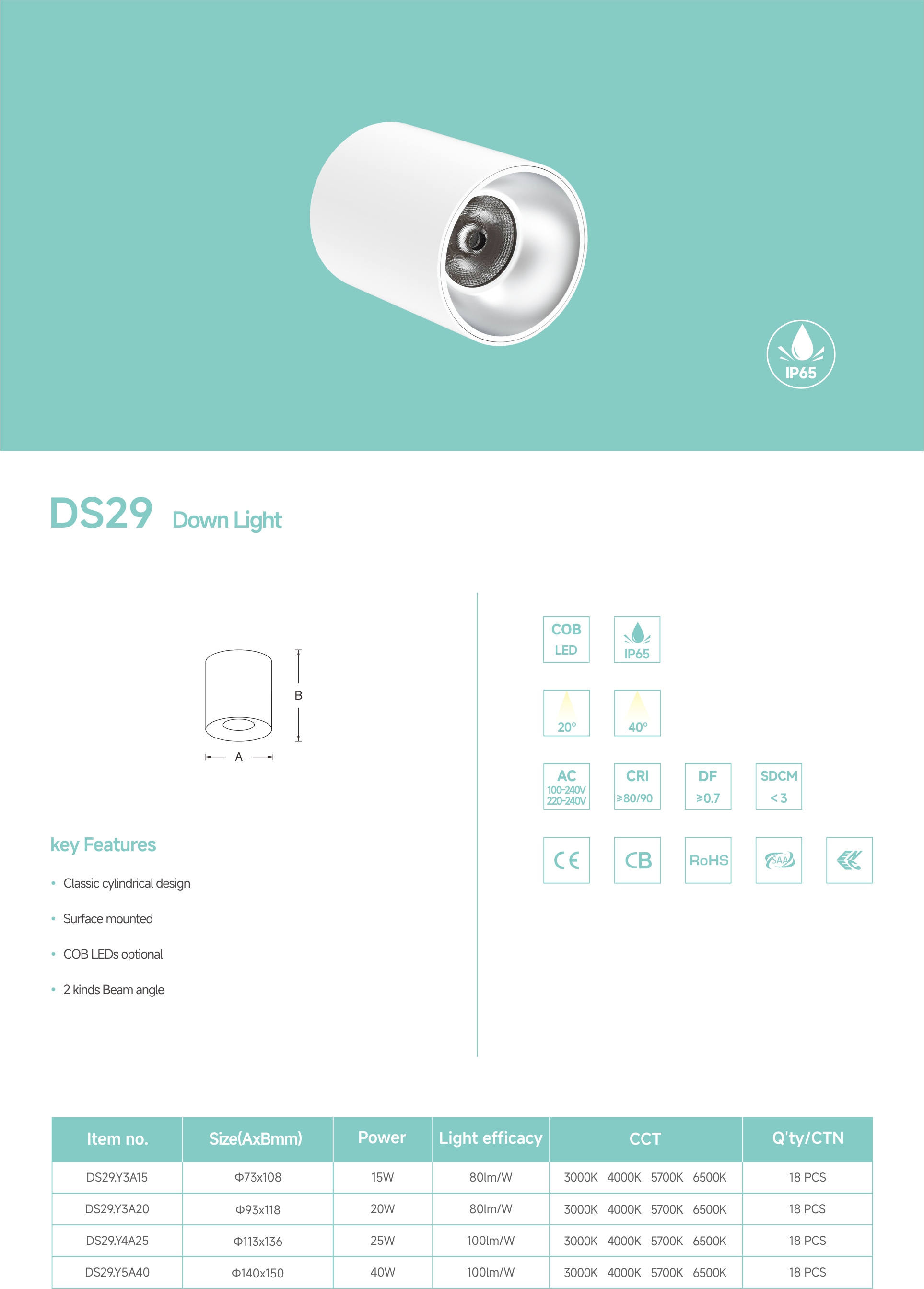 DS29