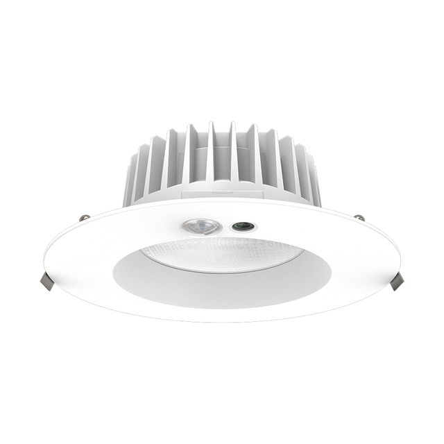 LED Down Light DF30