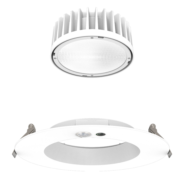 LED Down Light DF30