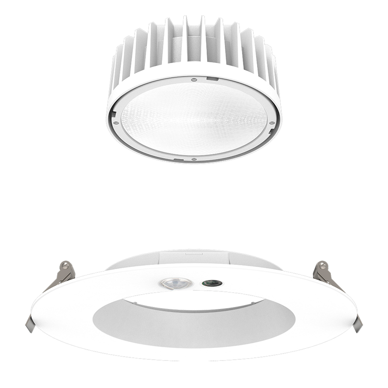 LED Down Light DF30
