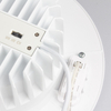 LED Down Light DF30