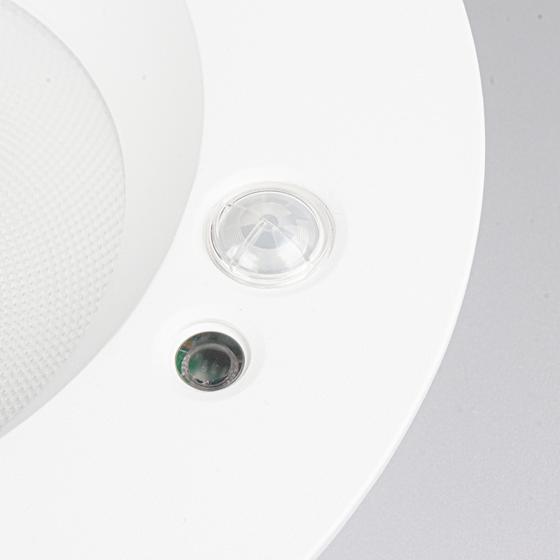 LED Down Light DF30