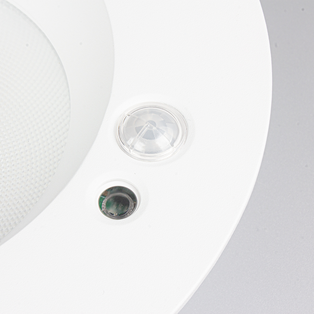LED Down Light DF30